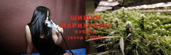 прущие грибы Нефтегорск